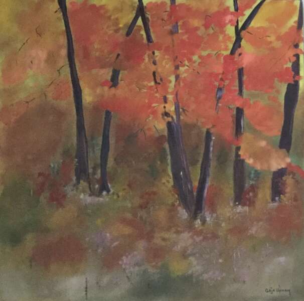 Orange Forest in the Fall