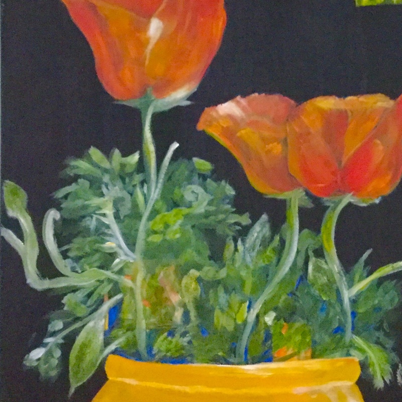 Poppies in Orange pot