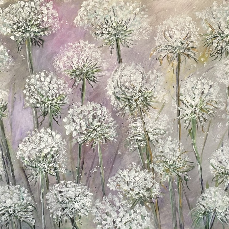 Queen Anne's Lace
